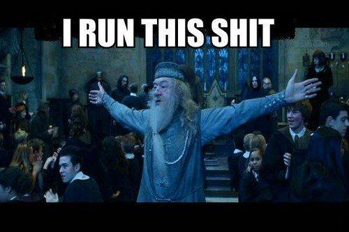 Who ever said Dumbledore wasn't pimp?