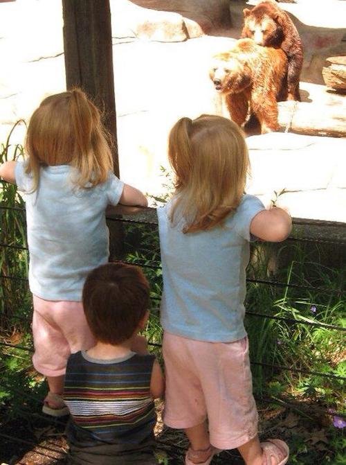 9 Kids Who Got a Sex Ed Lesson Courtesy of Zoo Animals