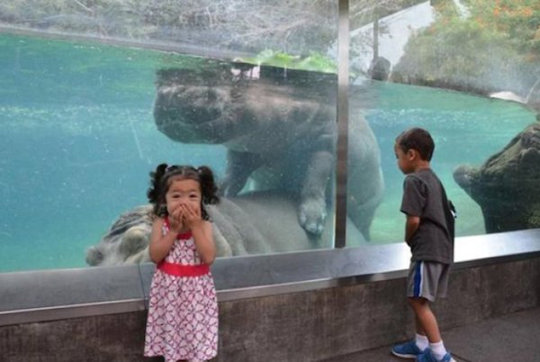 9 Kids Who Got a Sex Ed Lesson Courtesy of Zoo Animals