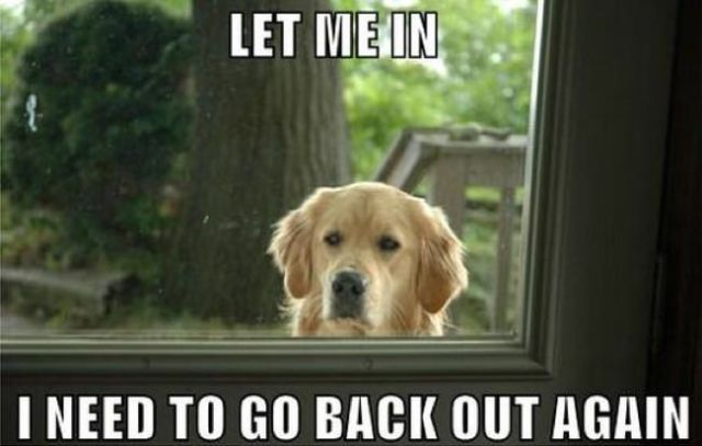 memes - let me in i need to go out again - Let Me In I Need To Go Back Out Again