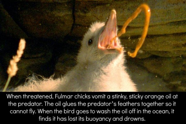 14 Reasons to Be Completely Terrified of Mother Nature