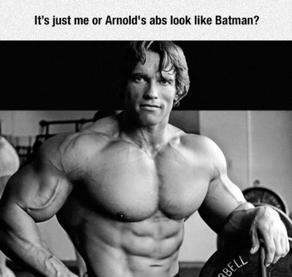 arnold schwarzenegger diet - It's just me or Arnold's abs look Batman? Bell