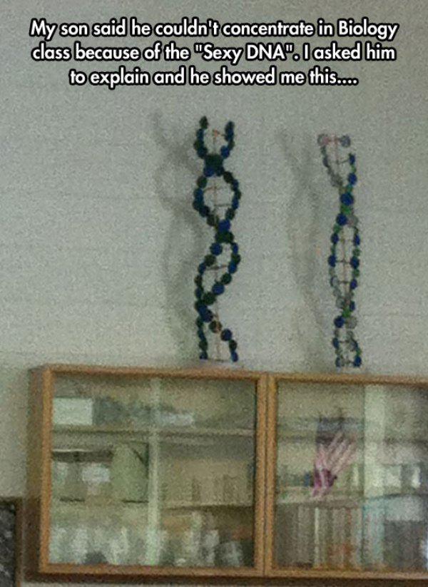 sexy dna - My son said he couldn't concentrate in Biology class because of the "Sexy Dna". I asked him to explain and he showed me this....