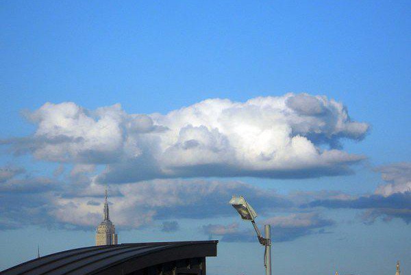 clouds that look like dogs