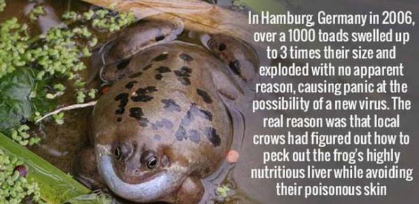 10 Terrifying Animal Facts That Will Keep You Awake