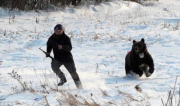 chased by bear