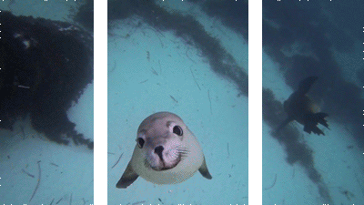 26 Split Depth GIFs That Are the Epitome of Awesome
