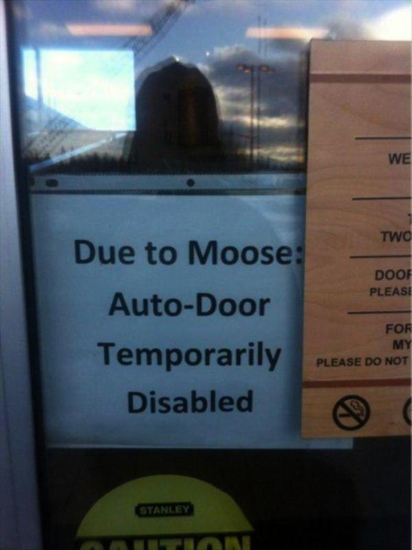 meanwhile in canada goose - We Two Doof Please Due to Moose AutoDoor Temporarily Disabled For My Please Do Not Stanley
