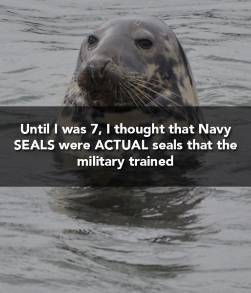 dumb things you thought as a kid - Until I was 7, I thought that Navy Seals were Actual seals that the military trained