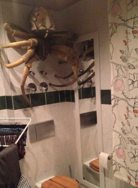 31 Examples Of People Being Jerks