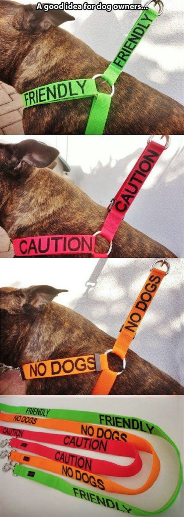 caution dog harness - Agood deafordog owner Friendly Friendly Caution Cautions No Dogs No Dogs Friendly No Dogs Caution Caution Nodors Friendly
