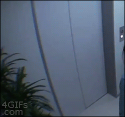 gif trap door - 4GIFs .com