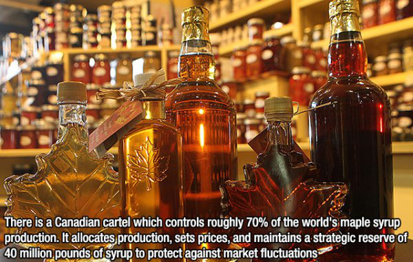 fact vancouver maple syrup - There is a Canadian cartel which controls roughly 70% of the world's maple syrup production. It allocates production, sets prices, and maintains a strategic reserve of 40 million pounds of syrup to protect against market fluct