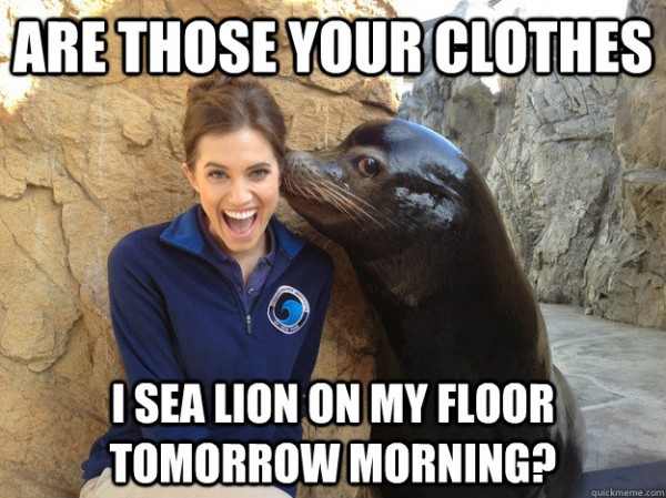 toadies meme - Are Those Your Clothes I Sea Lion On My Floor Tomorrow Morning? quickmeme.com