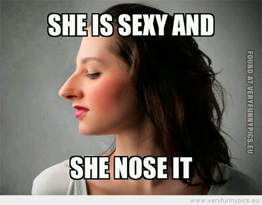 nose funny quotes - She Is Sexy And Found At Veryfunnypics.Eu She Nose It