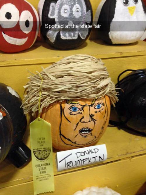 scariest pumpkin ever - Spotted at the state fair Fifth Place Uklahom Cate Donald Trumpkin Oklahoma State Fair