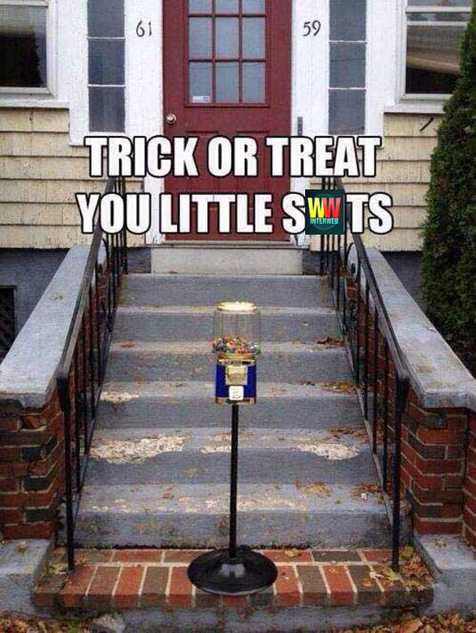 funny halloween - Trick Or Treat You Little Swis