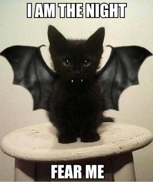 happy halloween funny meme - Iam The Night Fear Me