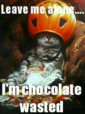 funny halloween memes - Leave me alone... I'm chocolate wasted