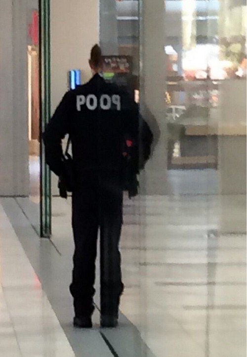 officer poop reporting for doody - PO09