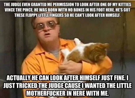 bubbles trailer park quotes - The Judge Even Granted Me Permission To Look After One Of My Kitties Vince The Pince. He Was Born With No Bones In His Foot Here, He'S Got These Floppy Little Fingers So He Cant Look After Himself. Actually He Can Look After 