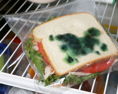 Smudge green and black markers on co-worker's sandwich bags to make “molds.”