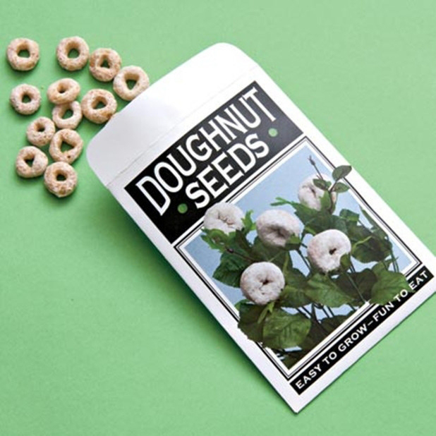 Have child plant “doughnut seeds” before they leave for school. Serve doughnuts when they get back!