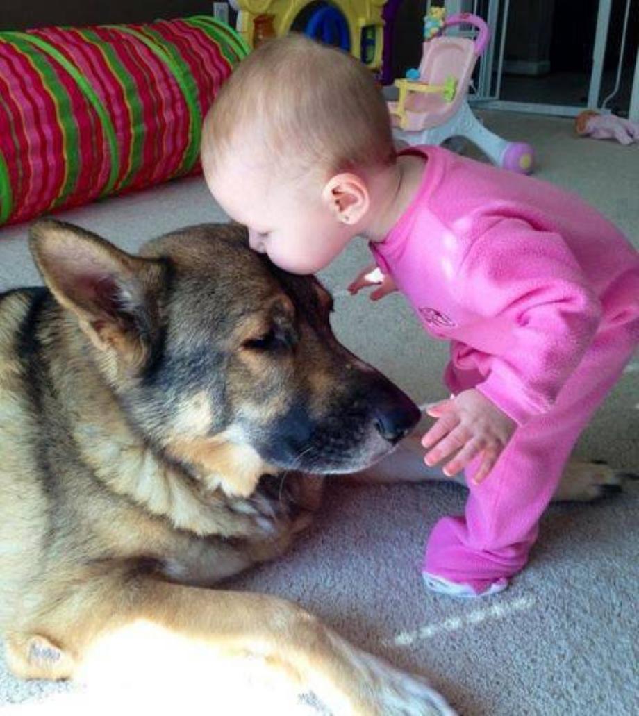 Babies and Puppies Go Hand in Hand