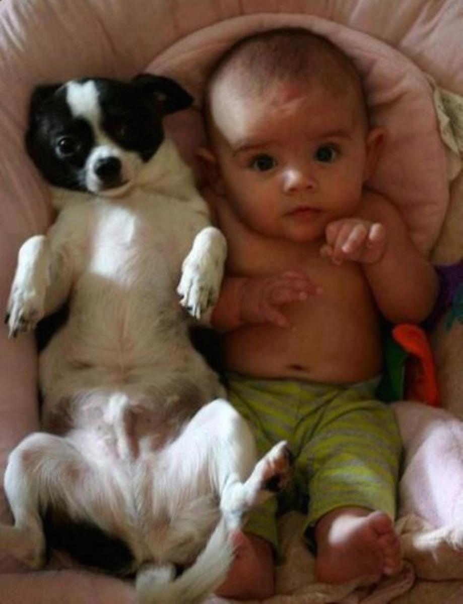 Babies and Puppies Go Hand in Hand