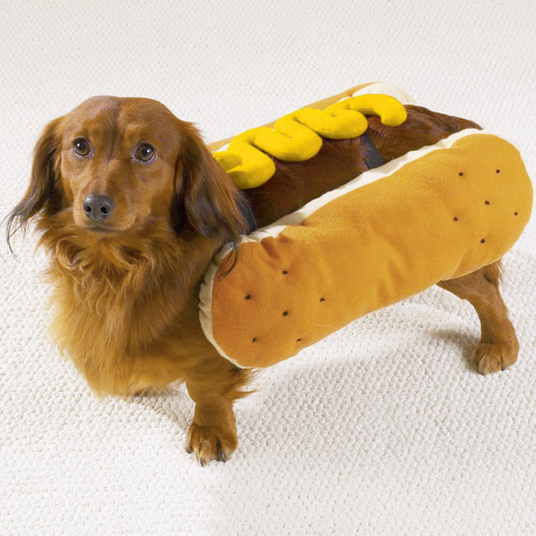 It's a hotdog.