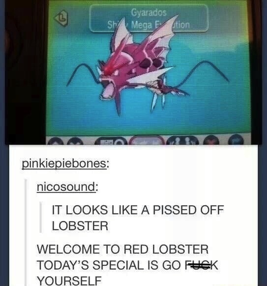 shiny mega gyarados meme - Gyarados Mega F tion Sh pinkiepiebones nicosound It Looks A Pissed Off Lobster Welcome To Red Lobster Today'S Special Is Go Fuk Yourself