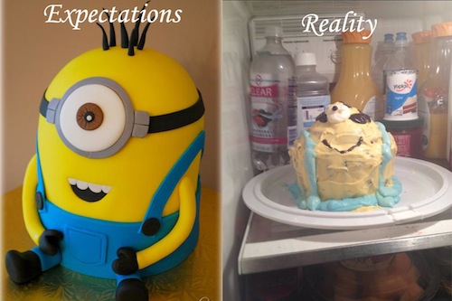 fail cake expectations funny meme - Expectations Reality