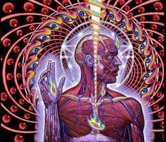 Esoteric Art by Alex Grey