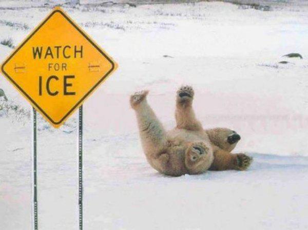 CAUTION ICE....... Ouch!