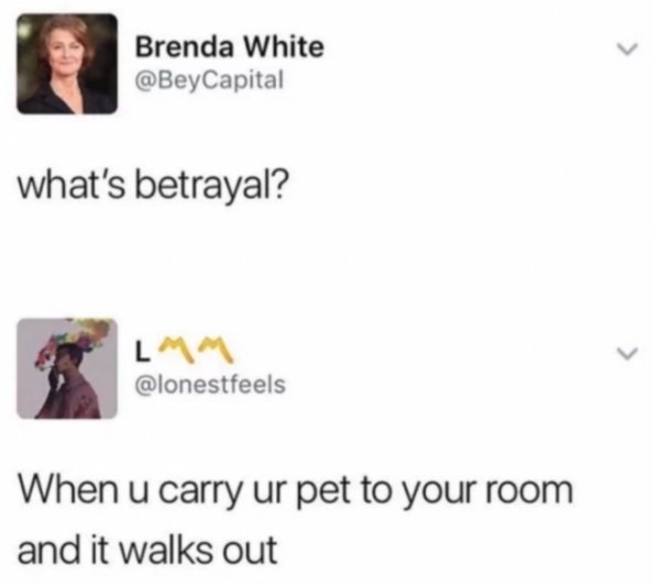 tweet - walks out memes - Brenda White Capital what's betrayal? Lam When u carry ur pet to your room and it walks out
