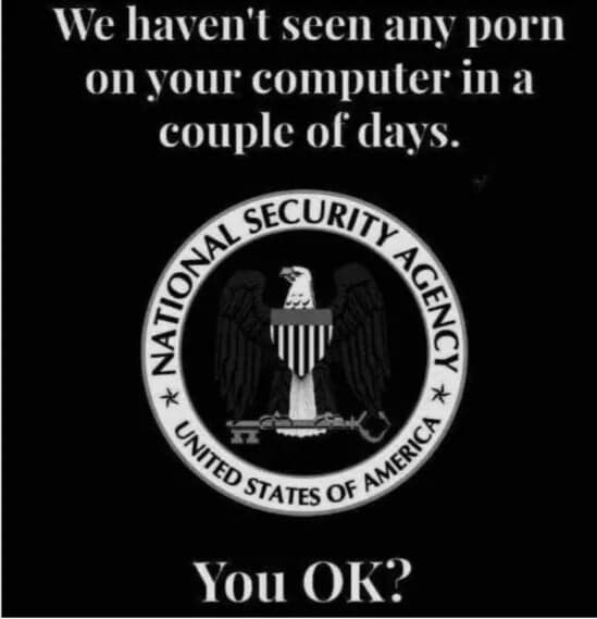 work meme about the NSA worrying about you not watching porn