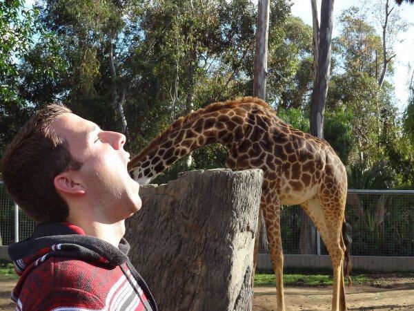 19 Of The Most Perfectly Timed Photos