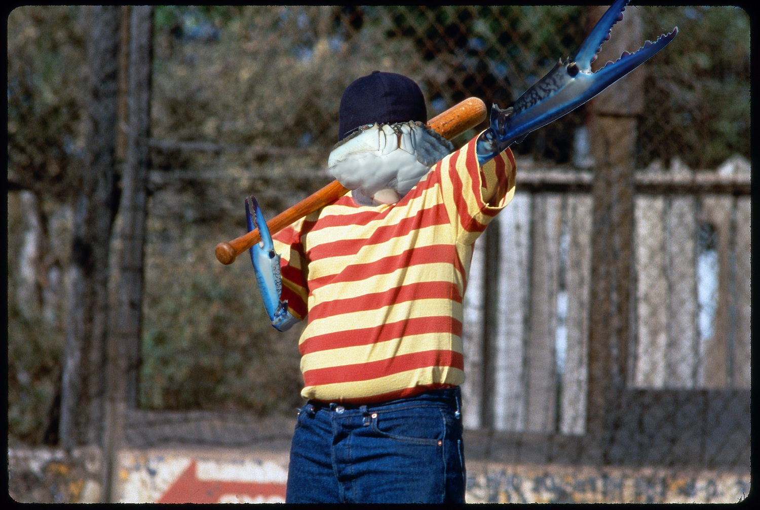 film baseball