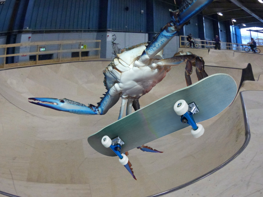 crab skateboarding