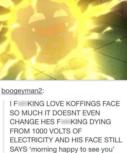 tumblr - koffing meme - boogeyman2 If King Love Koffings Face So Much It Doesnt Even Change Hesf King Dying From 1000 Volts Of Electricity And His Face Still Says 'morning happy to see you'