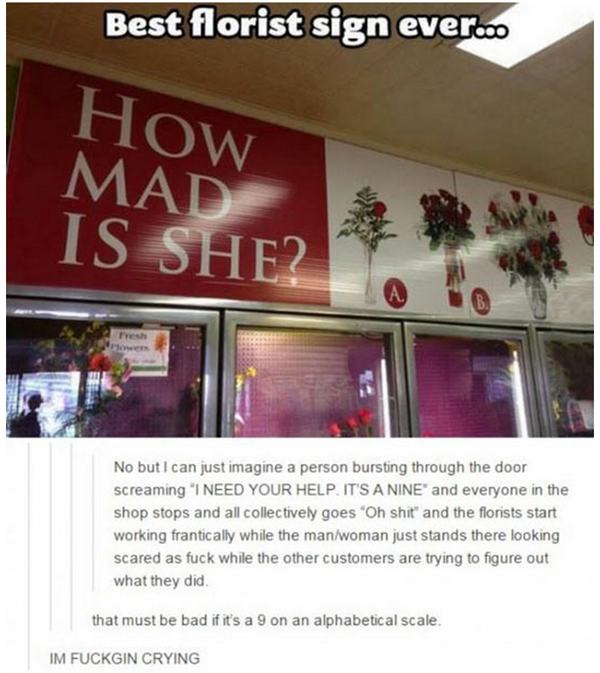 tumblr - jah cure nothing is impossible - Best florist sign ever.. How Mad Is She? No but I can just imagine a person bursting through the door screaming "I Need Your Help. It'S A Nine' and everyone in the shop stops and all collectively goes "Oh shit" an