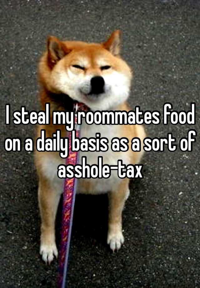 doge dont want to walk - Isteal my roommates food on a daily basis as a sort of assholetax
