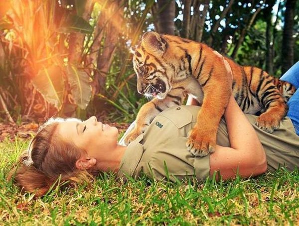 bindi irwin with baby tiger