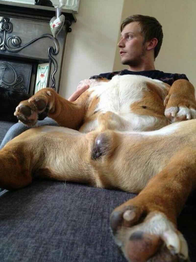 Man dick in a dog