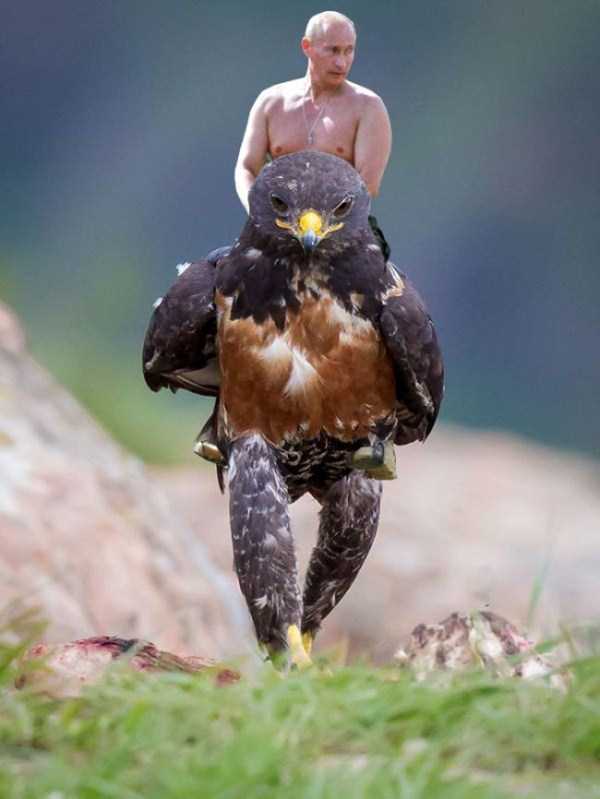 birds that look like humans