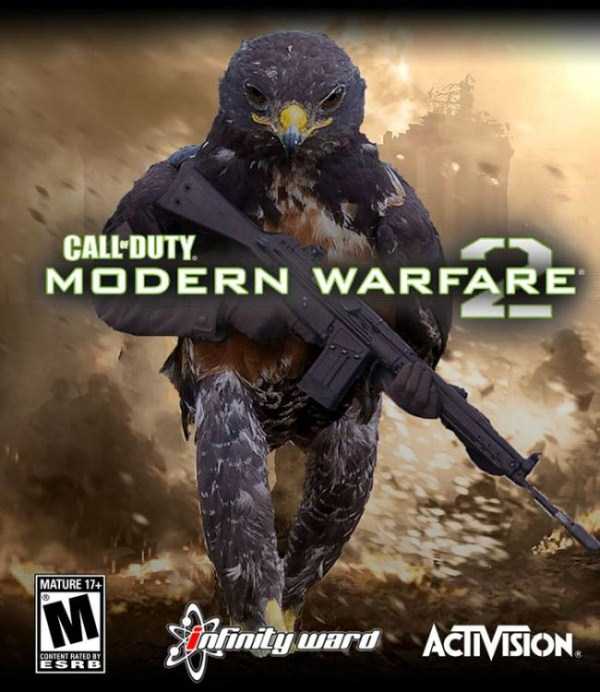 funny hawk - CallDuty Modern Warfare Mature 174 Onfinity ward Activision Content Rated At Esrb