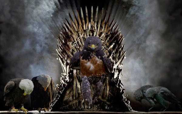 game of thrones seat