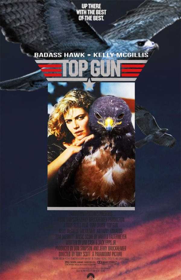 badass hawk photoshop - Up There With The Best Of The Best Badass Hawk Kelly Mcgillis Topgun S Erixemen Alusta T Cuts All Matartowy Lowanie S T Attelmeyer W In Se Jim Cast & Jaokepps,Jr. Produced By Od Simpson And Jerry Bruckheimer Directed By Tony Scott 