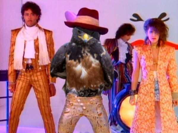 prince when doves cry video