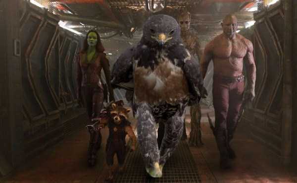 guardians of the galaxy walk